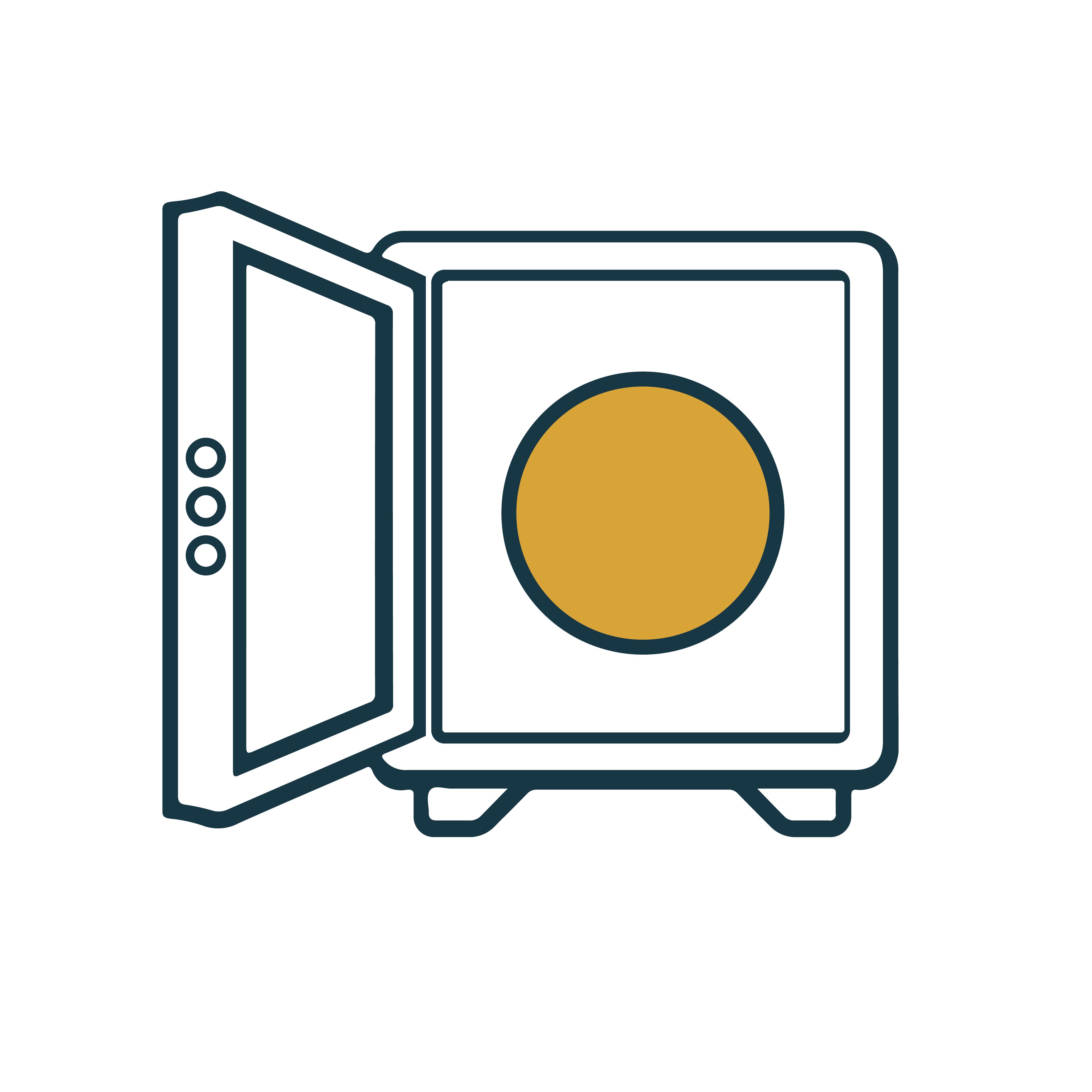 Icon 4