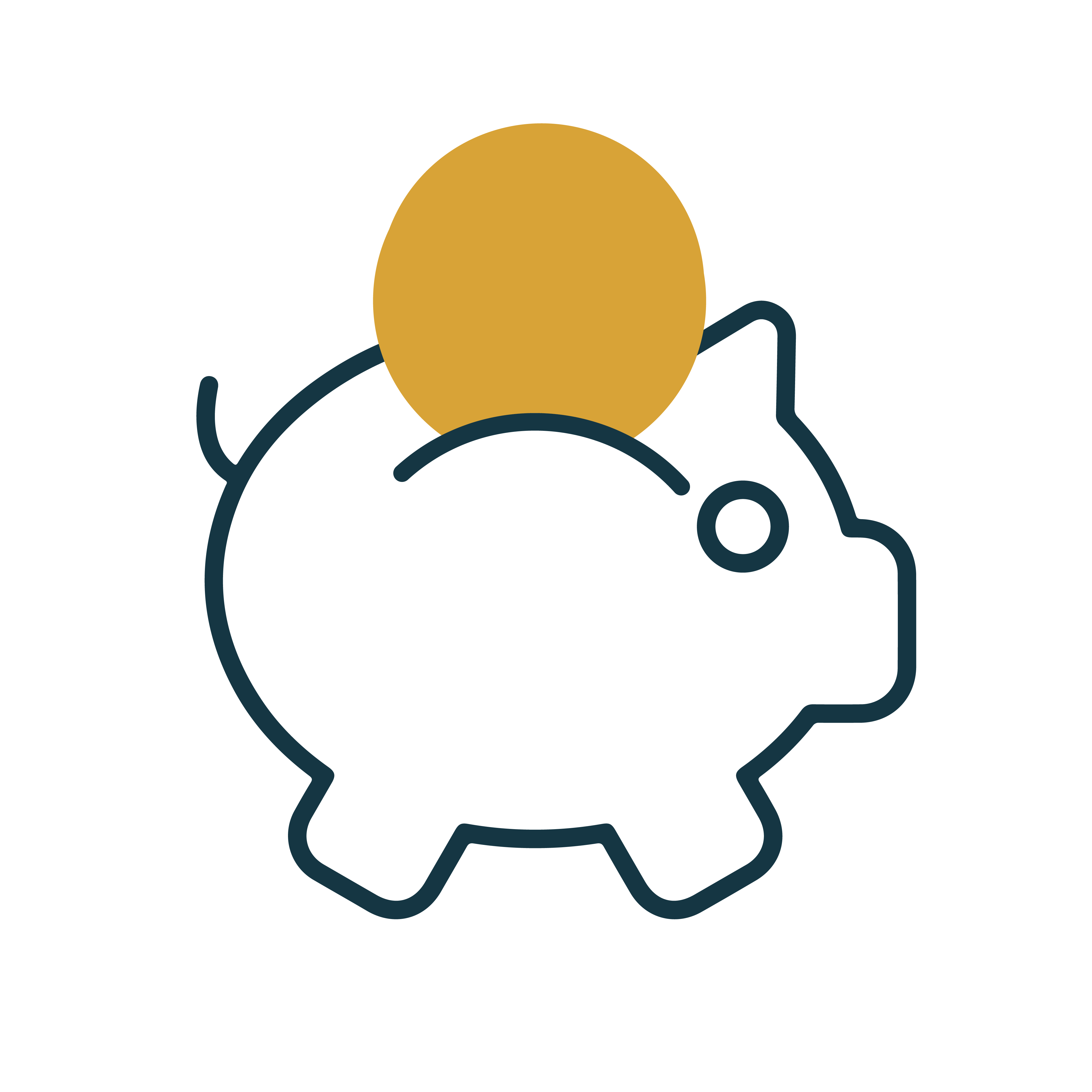 Icon 1